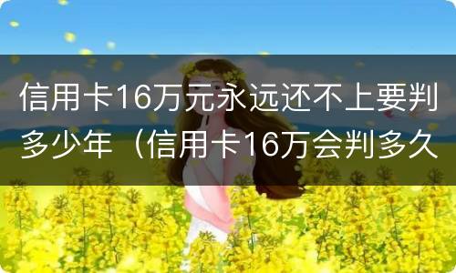 信用卡16万元永远还不上要判多少年（信用卡16万会判多久）