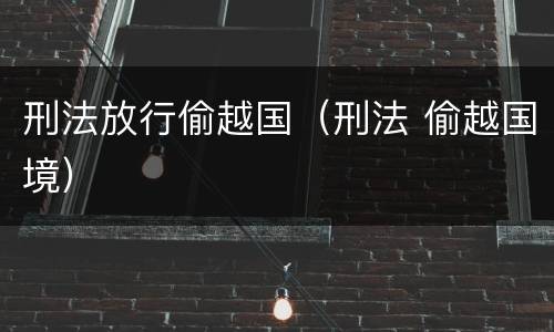 刑法放行偷越国（刑法 偷越国境）