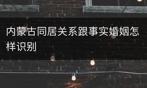 内蒙古同居关系跟事实婚姻怎样识别
