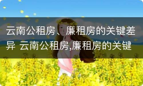 云南公租房、廉租房的关键差异 云南公租房,廉租房的关键差异有哪些