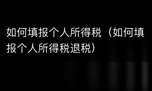 如何填报个人所得税（如何填报个人所得税退税）