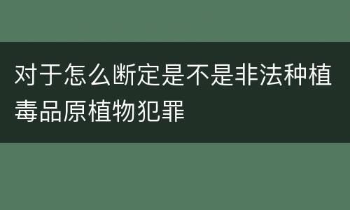 对于怎么断定是不是非法种植毒品原植物犯罪