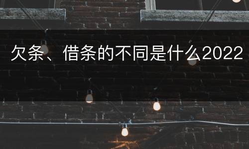 欠条、借条的不同是什么2022