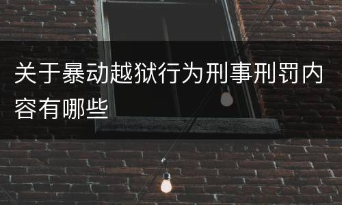 关于暴动越狱行为刑事刑罚内容有哪些
