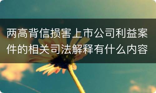 两高背信损害上市公司利益案件的相关司法解释有什么内容