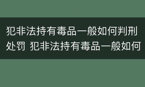 犯非法持有毒品一般如何判刑处罚 犯非法持有毒品一般如何判刑处罚标准