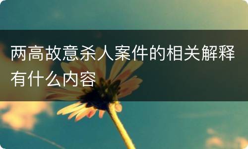 两高故意杀人案件的相关解释有什么内容