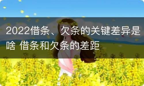 2022借条、欠条的关键差异是啥 借条和欠条的差距