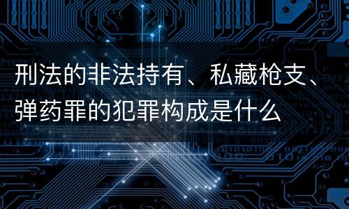 刑法的非法持有、私藏枪支、弹药罪的犯罪构成是什么