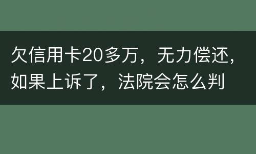 欠信用卡20多万，无力偿还，如果上诉了，法院会怎么判
