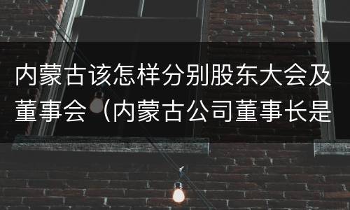 内蒙古该怎样分别股东大会及董事会（内蒙古公司董事长是谁）