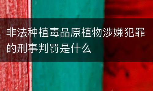 非法种植毒品原植物涉嫌犯罪的刑事判罚是什么