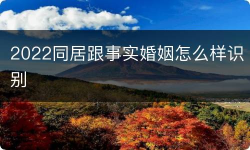 2022同居跟事实婚姻怎么样识别