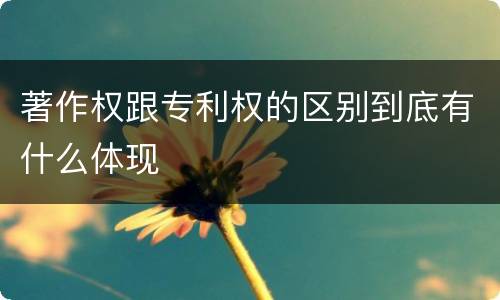 著作权跟专利权的区别到底有什么体现