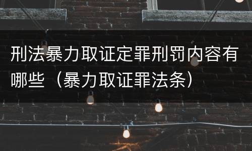 刑法暴力取证定罪刑罚内容有哪些（暴力取证罪法条）