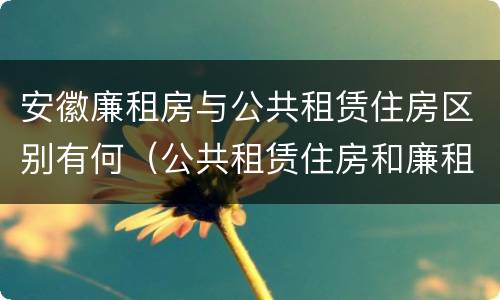 安徽廉租房与公共租赁住房区别有何（公共租赁住房和廉租房的区别）