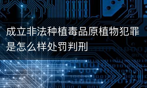 成立非法种植毒品原植物犯罪是怎么样处罚判刑