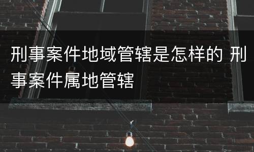 刑事案件地域管辖是怎样的 刑事案件属地管辖