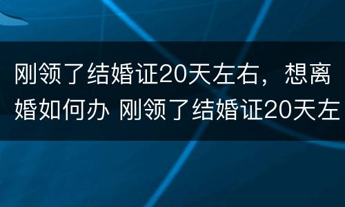 刚领了结婚证20天左右，想离婚如何办 刚领了结婚证20天左右,想离婚如何办手续