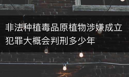 非法种植毒品原植物涉嫌成立犯罪大概会判刑多少年