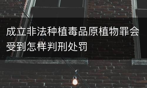 成立非法种植毒品原植物罪会受到怎样判刑处罚