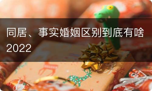 同居、事实婚姻区别到底有啥2022