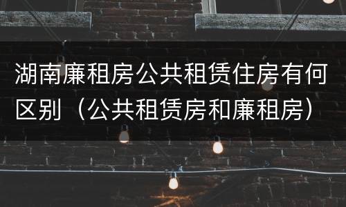 湖南廉租房公共租赁住房有何区别（公共租赁房和廉租房）