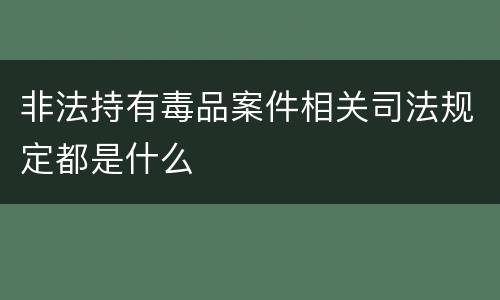 非法持有毒品案件相关司法规定都是什么