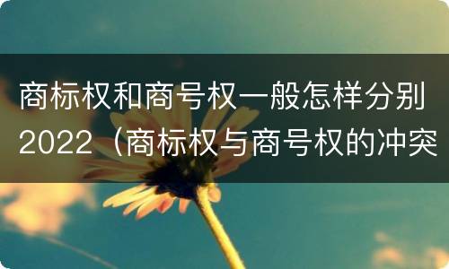 商标权和商号权一般怎样分别2022（商标权与商号权的冲突以及解决）