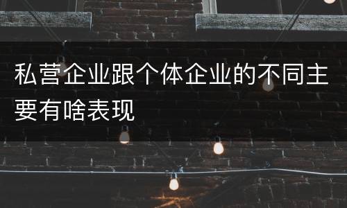 私营企业跟个体企业的不同主要有啥表现