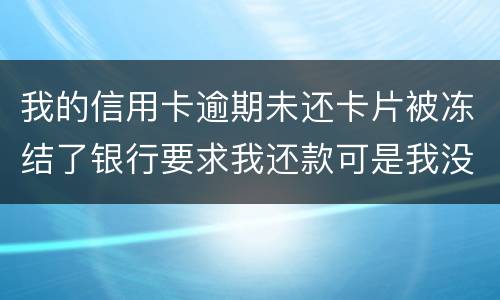 我的信用卡逾期未还卡片被冻结了银行要求我还款可是我没有偿还能力银行会起诉我吗