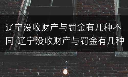 辽宁没收财产与罚金有几种不同 辽宁没收财产与罚金有几种不同地方