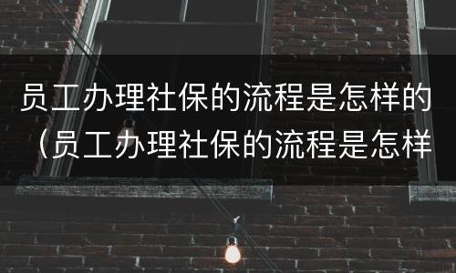 员工办理社保的流程是怎样的（员工办理社保的流程是怎样的呀）