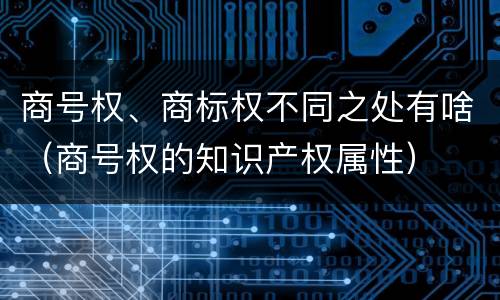 商号权、商标权不同之处有啥（商号权的知识产权属性）