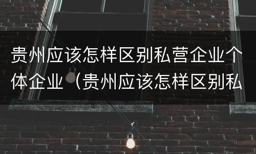 贵州应该怎样区别私营企业个体企业（贵州应该怎样区别私营企业个体企业和公司）