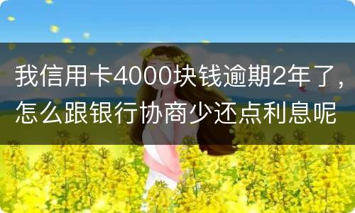 我信用卡4000块钱逾期2年了，怎么跟银行协商少还点利息呢