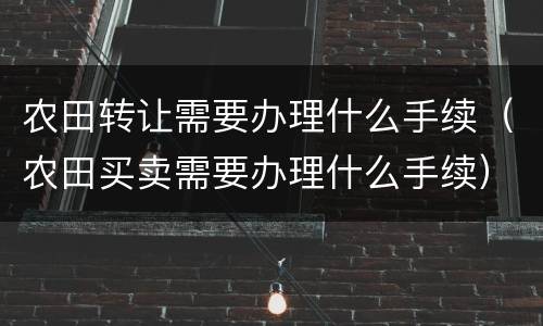 农田转让需要办理什么手续（农田买卖需要办理什么手续）