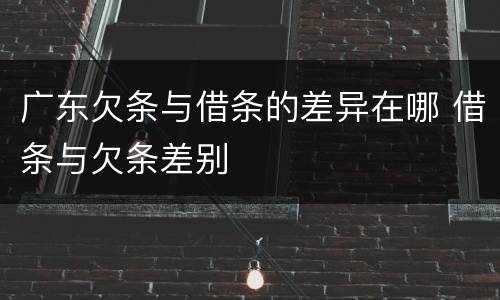 广东欠条与借条的差异在哪 借条与欠条差别