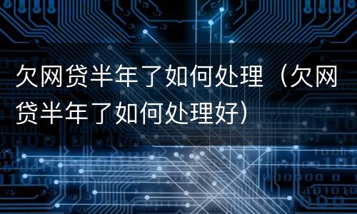 欠网贷半年了如何处理（欠网贷半年了如何处理好）