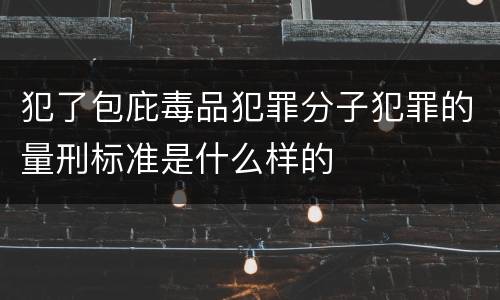 犯了包庇毒品犯罪分子犯罪的量刑标准是什么样的