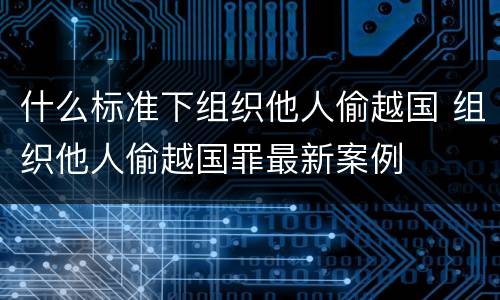 什么标准下组织他人偷越国 组织他人偷越国罪最新案例