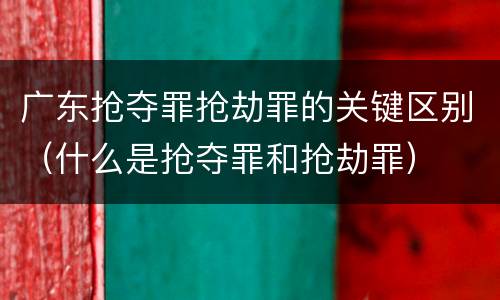 广东抢夺罪抢劫罪的关键区别（什么是抢夺罪和抢劫罪）
