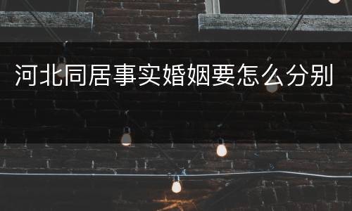 河北同居事实婚姻要怎么分别