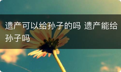 遗产可以给孙子的吗 遗产能给孙子吗
