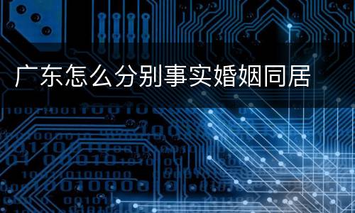 广东怎么分别事实婚姻同居