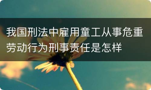 我国刑法中雇用童工从事危重劳动行为刑事责任是怎样