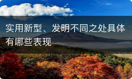 实用新型、发明不同之处具体有哪些表现