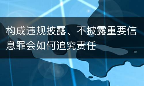 构成违规披露、不披露重要信息罪会如何追究责任