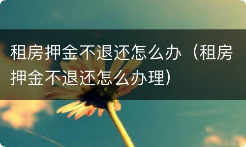 租房押金不退还怎么办（租房押金不退还怎么办理）