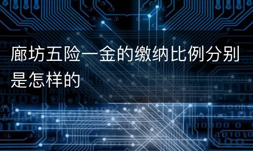 廊坊五险一金的缴纳比例分别是怎样的